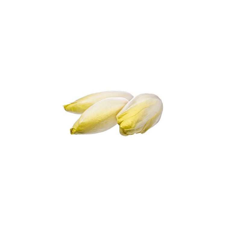 Endive