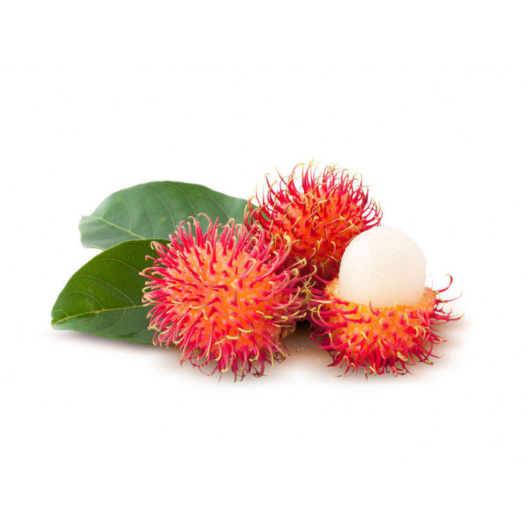 Litchi rambutant