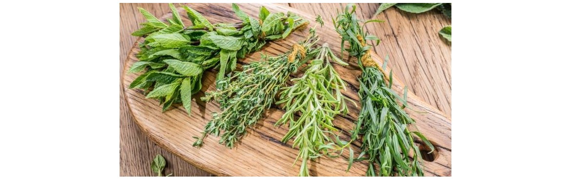 Herbes aromatiques